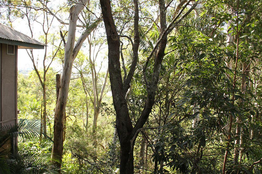 Arabella Guesthouse Alexandra Headland Esterno foto