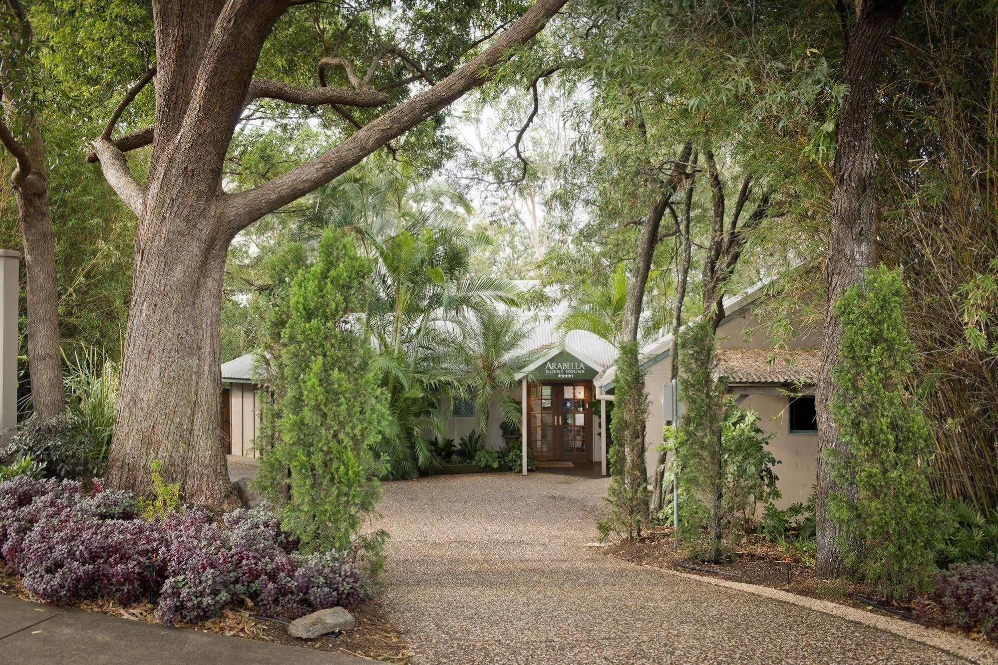 Arabella Guesthouse Alexandra Headland Esterno foto