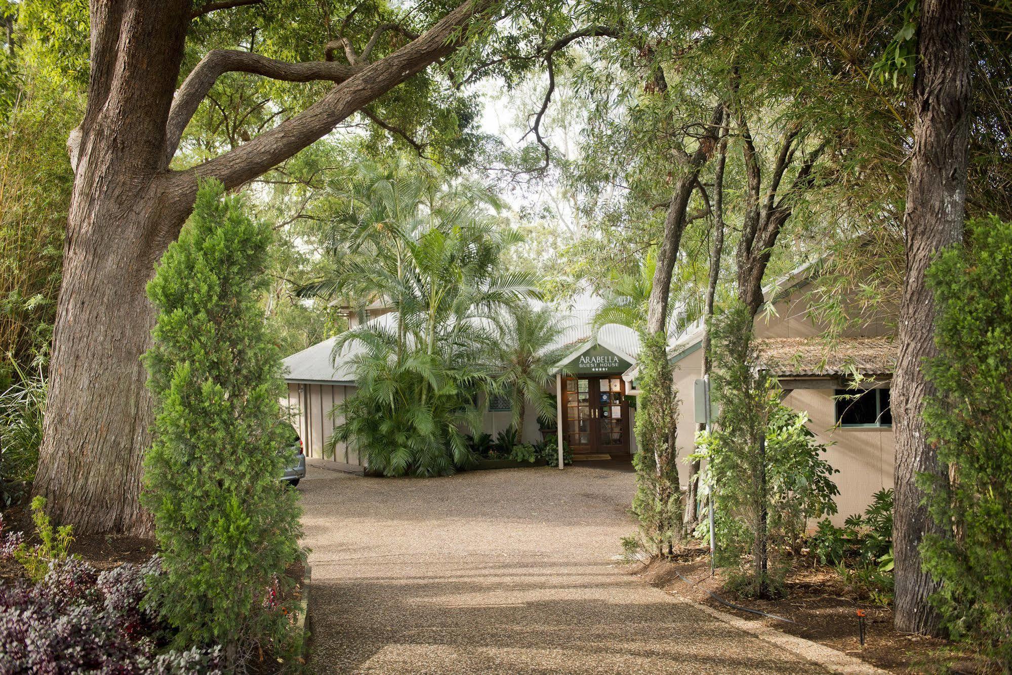 Arabella Guesthouse Alexandra Headland Esterno foto