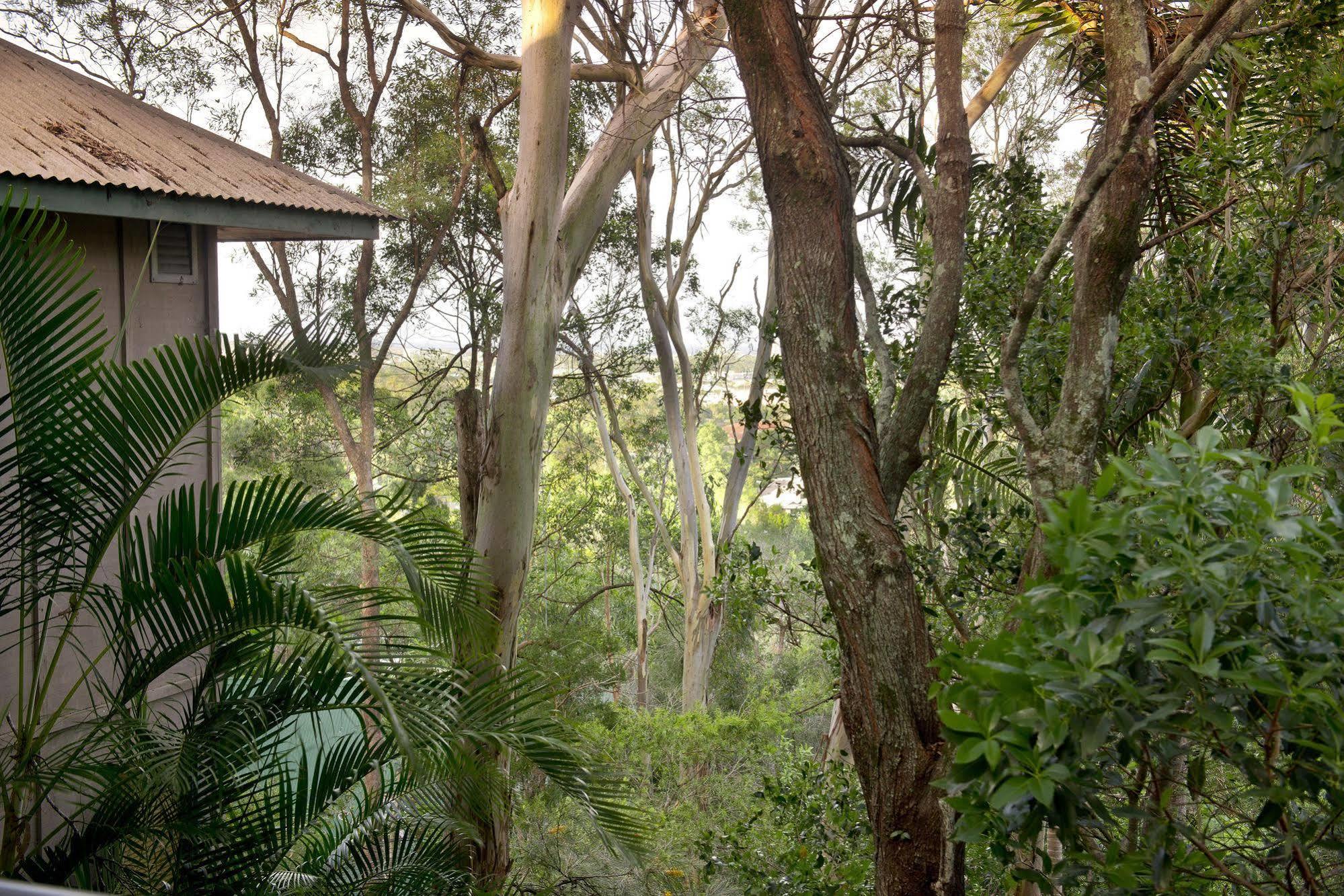 Arabella Guesthouse Alexandra Headland Esterno foto